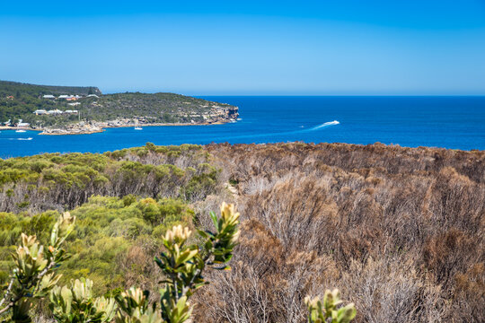 View over Bushland and Coastline of North Head seen from Dobroyd Head Lookout, Sydney, Australia.