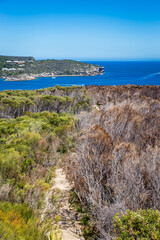 View over Bushland and Coastline of North Head seen from Dobroyd Head Lookout, Sydney, Australia.