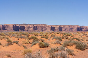 Red Desert Scrubland Against Mesas