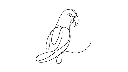 A continuous line drawing of a parrot