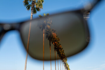 Sunglass Filtered Palm Skyline - Landscape