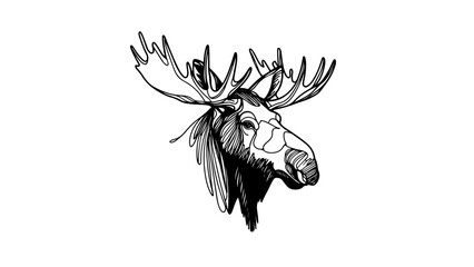 A continuous line drawing of a realistic moose head