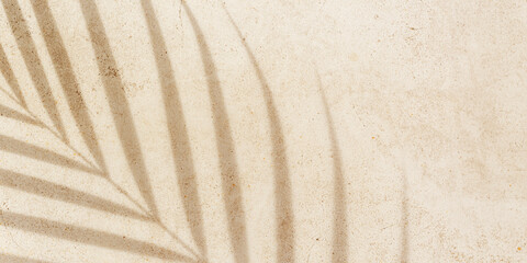 Soft shadows of tropical palm leaves on textured concrete background neutral beige colored. Summer...