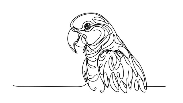 recommend clip art: minimalist line drawing of a realistic parrot