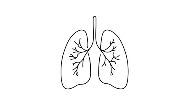 Minimalist continuous line drawing of human lungs 