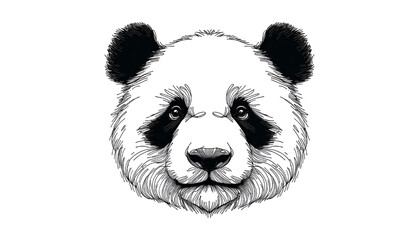 A realistic drawing of a panda head © Ibrahim