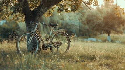 Obraz premium Vintage bicycle waiting near tree. with copy space. world bicycle day background concept