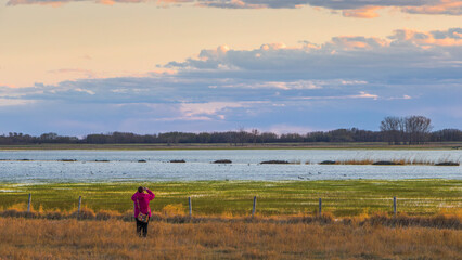 Using a smartphone camera to capture Spring bird migration at Wapisu Marsh in Saskatchewan, Canada