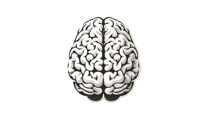 doodle illustration of a human brain