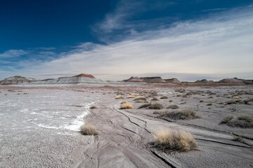 Dried Riverbed in Petrified Forest Park - Medium