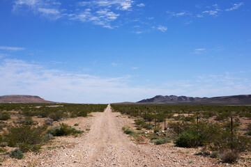 USA, Nevada. Piste de cailloux traversant le désert aride et poussiéreux avec de rares buissons secs sous un ciel bleu et quelques nuages au-dessus des montagnes râpées au sud de Las Vegas.