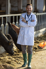 Veterinarian with syringe in cowshed
