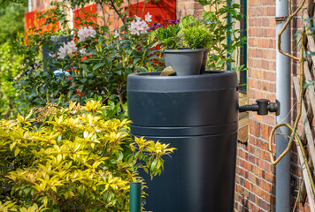 Close up of plastic rain barrel with flowers in city street, rainwater harvesting household...