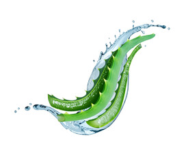 Sliced stems of aloe vera with water splash close up isolated on a white background