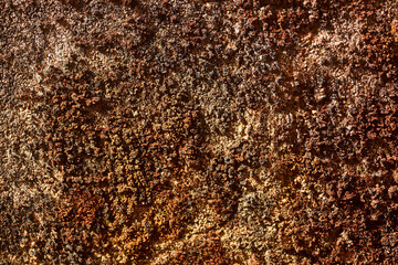 an old rough concrete moss wall texture background