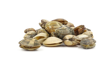 Closed up fresh baby clams, venus shell, shellfish, carpet clams, short necked clams, as raw food from the sea are the seafood ingredients. fresh clams Background.