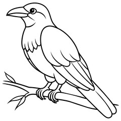 Bird coloring book vector illustration (1)