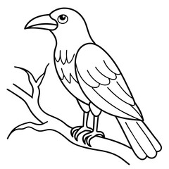 Bird coloring book vector illustration (2)