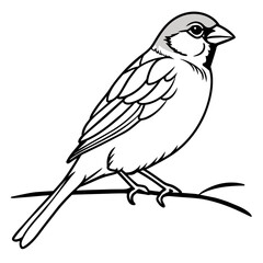 Bird coloring book vector illustration (4)