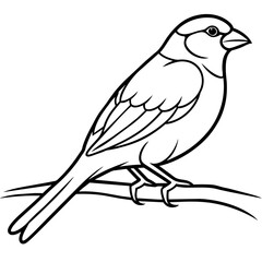 Bird coloring book vector illustration (3)