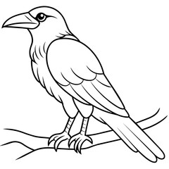 Bird coloring book vector illustration (8)