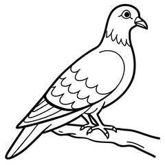 Bird coloring book vector illustration (5)