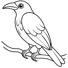 Fototapeta premium Bird coloring book vector illustration (7)