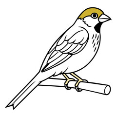 Bird coloring book vector illustration (9)