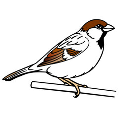 Bird coloring book vector illustration (10)