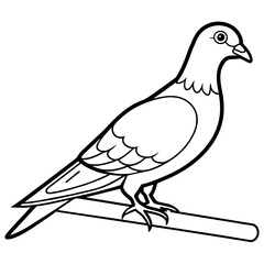 Bird coloring book vector illustration (12)