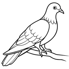 Bird coloring book vector illustration (6)