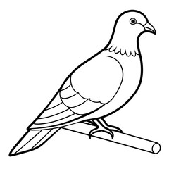 Bird coloring book vector illustration (11)