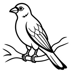 Bird coloring book vector illustration (28)