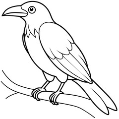 Bird coloring book vector illustration (30)