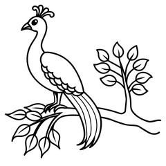Bird coloring book vector illustration (38)