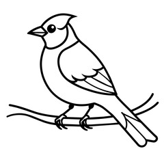 Bird coloring book vector illustration (35)