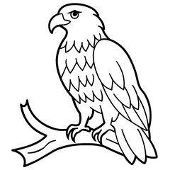 Bird coloring book vector illustration (41)