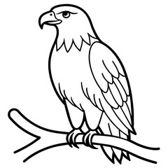 Bird coloring book vector illustration (42)