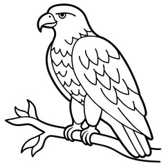 Bird coloring book vector illustration (40)
