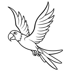 Bird coloring book vector illustration (62)