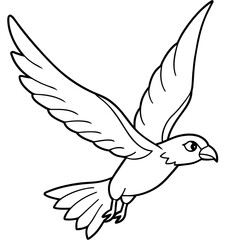 Bird coloring book vector illustration (73)