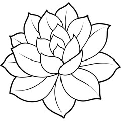 Flower coloring book design vector (49)