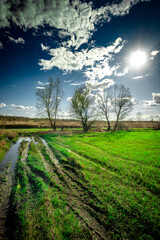 Fototapeta na wymiar Green field and blue sky . Sky with beautiful clouds . Trees over the field . Green grass on field . Spring forest . Landscape with sun