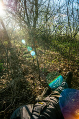 Obraz premium Forest at the spring time . Mystery forest . Red sun red lights over the trees . Evening . Trees and woods . Lights over the forest. 