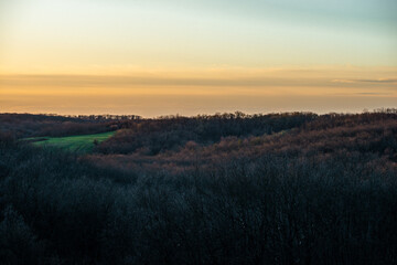 Sunset in thr forest . Red sun through the trees light of the sun. Spring evening forest