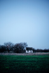 Fototapeta premium Field and blue sky with field . Spring evening . Abandoned old village . Green field 