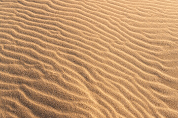 Smooth sand dunes background texture, view from above