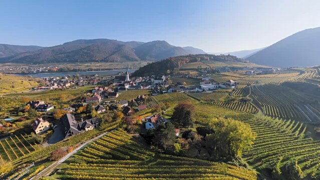 360 degrees seamless loopable aerial panorama of Spitz an der Donau town and vineyards. Wachau valley, Austria.