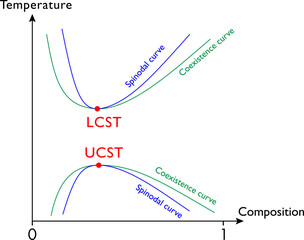 A phase diagram displaying binodal (coexistence) curves .Vector illustration.