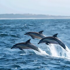 Fototapeta premium Playful Dolphins Leaping Out of the Vibrant Ocean
